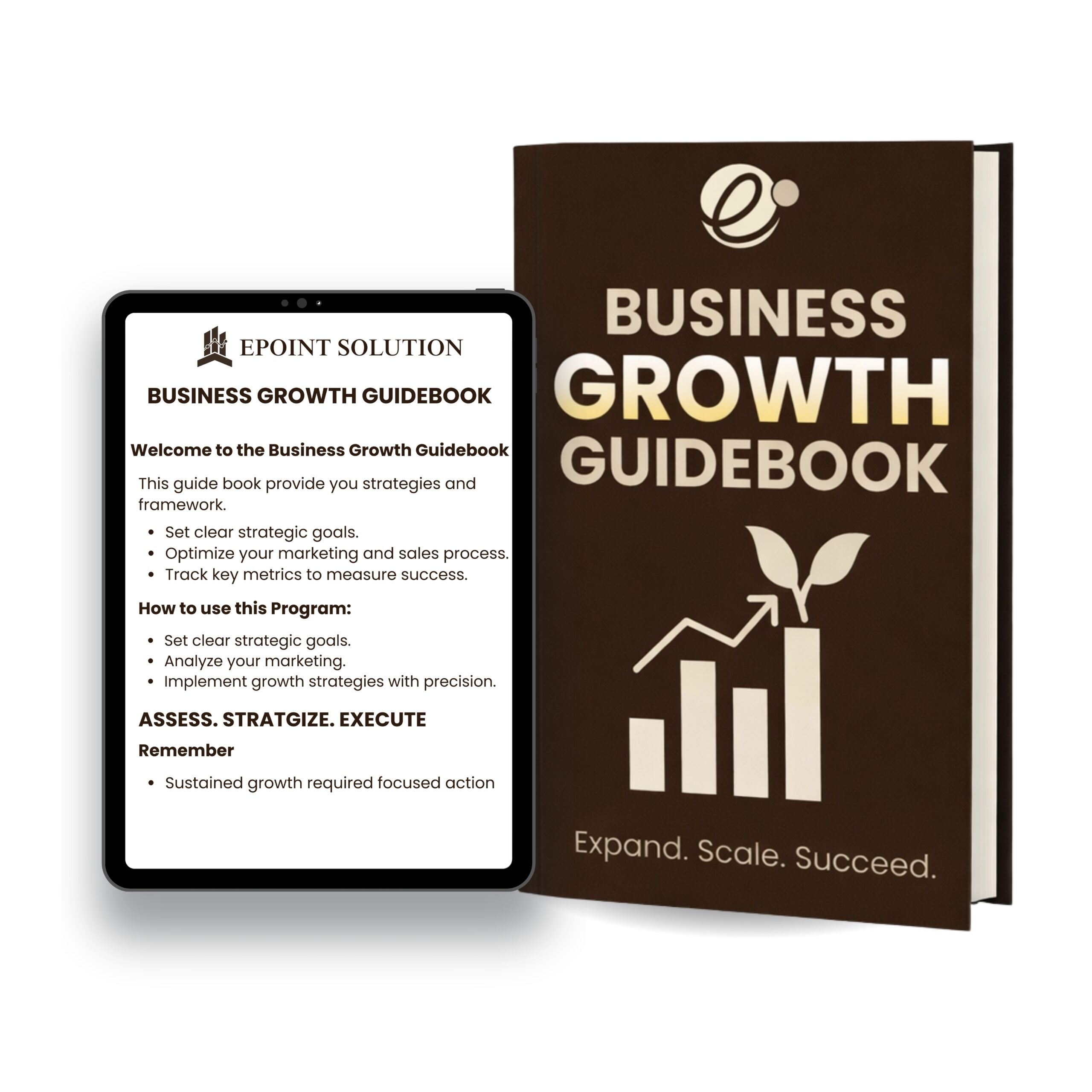 Business Growth Guidebook